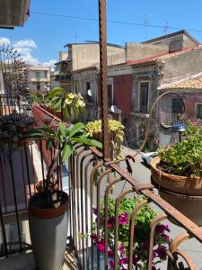 ein Balkon mit Topfpflanzen an einem Gebäude in der Unterkunft B&B Domus Candida in Calatabiano + 30 Fotos