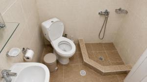 a bathroom with a toilet and a shower at Tuz House R2 in Bakuriani