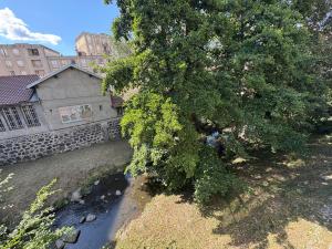 a tree in front of a house and a river at Le Cosy Industriel in Le Puy-en-Velay