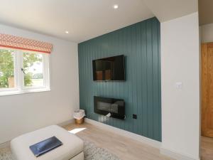a living room with a tv on a green wall at Poppy Patch in Bicester
