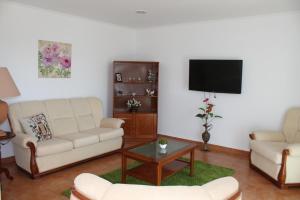 een woonkamer met 2 banken en een flatscreen-tv bij Monte da Barragem in Montargil