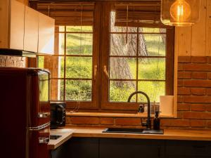 a kitchen with a sink and a window at Leśna Przystań apartamenty dwupoziomowe nad jeziorem in Węgorzewo +86 photos
