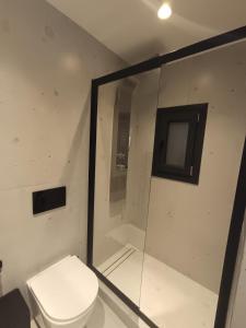 a bathroom with a toilet and a shower stall at IOVI Tinos II in Agios Sostis +11 photos