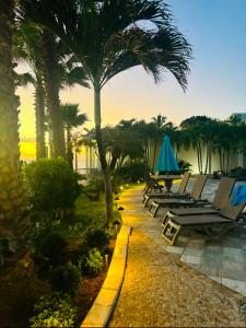 a group of lounge chairs and umbrellas next to palm trees at Ocean View Serenity in Cupecoy