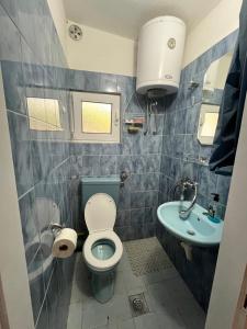 a small bathroom with a toilet and a sink at Vila Maša in Utjeha +24 photos