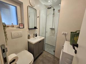 a bathroom with a shower and a toilet and a sink at Vukajlo Petit in Belgrade