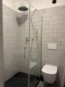 a bathroom with a glass shower with a toilet at Monte-Rosa in Karlovy Vary +6 photos