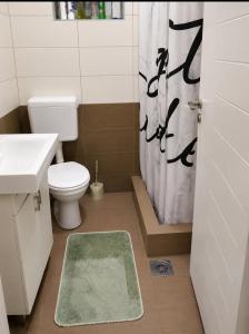a bathroom with a toilet and a shower curtain at Breti's GuestHouse in Vusanje