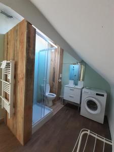 a bathroom with a toilet and a washing machine at Les Hellébores in Égletons
