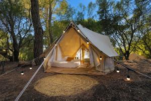 a tent with lights on the ground in a forest at Kampaoh Lisboa in Lisbon