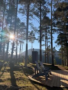 a wooden deck with two chairs and the sun shining through trees at Birdbox Forland in Stord