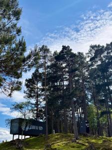 a sign on a hill with trees in the background at Birdbox Forland in Stord