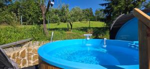 a blue tub with a sink in a yard at Pilisca Holiday Home in Dobîrlău