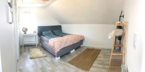 a bedroom with a bed and a ladder in it at Lake House Moryn in Przyjezierze