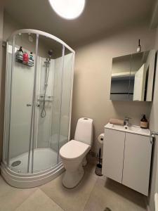 a bathroom with a shower and a toilet and a sink at Notodden Sentrum Apartment NO 14 in Notodden