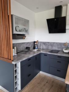 a kitchen with blue cabinets and a counter top at TY Nid in Lannion