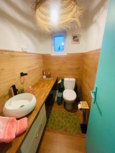 a bathroom with a sink and a toilet at Maison Donarosa Charmant in Vieille-Brioude +37 photos
