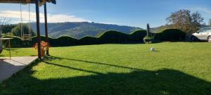 a field of grass with a car parked in it at Apartma DUA in Strunjan