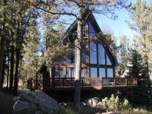 a tree house in the middle of a forest at ThunderHeart in Custer