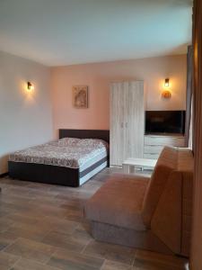a bedroom with a bed and a couch and a tv at Tara Organic in Zaovine