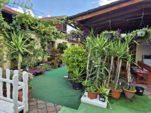 a garden center with potted plants and flowers at Penzion Many Peny in Jindřichŭv Hradec +17 photos