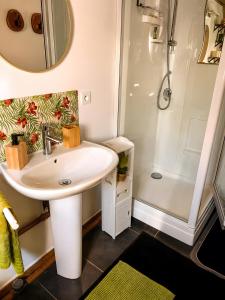 a bathroom with a sink and a shower at Peniche l’Arlésienne in Arles +32 photos