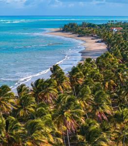 an aerial view of a beach with palm trees at Sumar your beach house in Japaratinga in Japaratinga