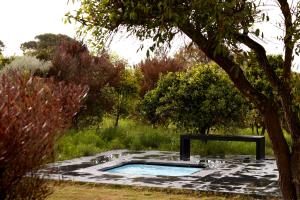 une piscine dans un jardin avec un arbre dans l'établissement Quinta Do Miguel, à Aldeia do Meco