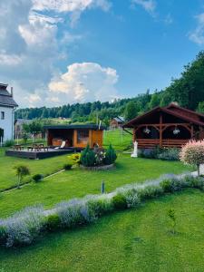 a house with a green yard with a building at Pensiunea Edia in Borşa