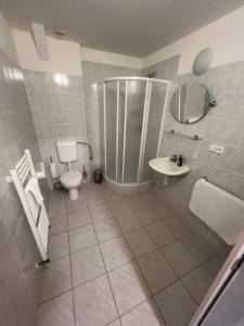 a bathroom with a shower and a toilet and a sink at Sudický Dvur in Boskovice +59 photos