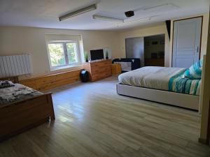 a large room with two beds and a television at Chez Peyrin in Labastide-Chalosse
