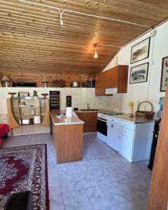 a large kitchen with wooden cabinets and a counter top at Authentic Village House in Tourkolékas