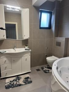 a bathroom with a sink and a toilet and a mirror at Stanisicguesthouse in Stanišiči +9 photos