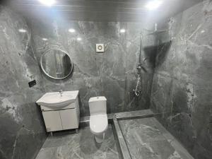 a bathroom with a toilet and a sink and a mirror at Tonir House in Goris