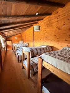 a group of beds in a room with wooden walls at Cabaña de campo in Tanti