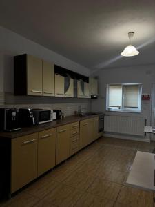 a large kitchen with brown cabinets and appliances at Vila Adelin in Tăşnad