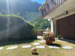 a soccer ball on the grass next to a house at Maison au Soleil in Valtournenche