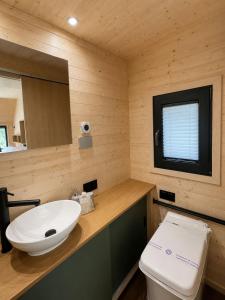 a bathroom with a white sink and a toilet at Tiny House Luc in Prato Carnico