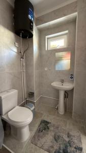 a bathroom with a toilet and a sink at Aydin Guest House in Bayetovka