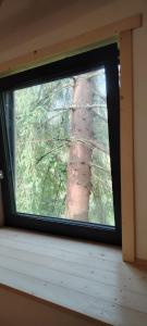 a window in a room with a tree in the background at Casuta dintre brazi in Râșca +54 photos