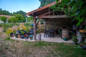 a patio with a bunch of potted plants and a building at Lacour in Augignac