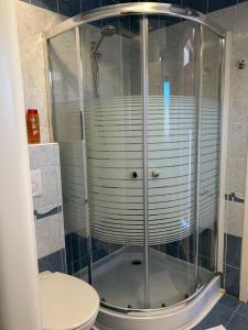 a shower stall in a bathroom with a toilet at Apartman Jasmine in Csopak