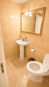 a bathroom with a toilet and a sink and a mirror at Tuz House R3 in Bakuriani +9 photos