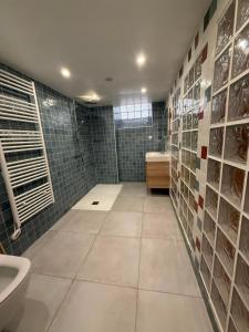 a bathroom with a shower and a toilet and a sink at Welcome in Issy-les-Moulineaux +78 photos