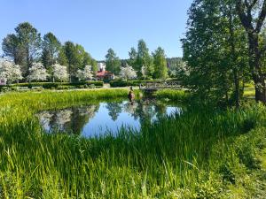 a woman standing in a pond in a park at Rymlig 2-rumssvit nära Centralstationen - Anna Josefinas Stay in Umeå