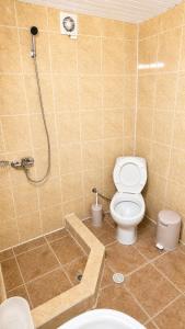 a bathroom with a toilet and a shower with a shower at Tuz House R5 in Bakuriani