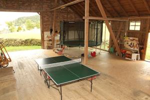 Stolní tenis v ubytování Zur alten Schäferei nebo okolí