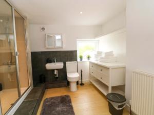 a bathroom with a toilet and a sink and a shower at Broad Beams in Neston +20 photos