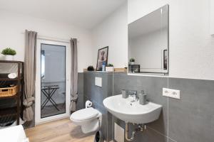 a bathroom with a sink and a toilet and a mirror at Ferienhaus Bühlertal mit 3 Fewos in Bühlertal +29 photos