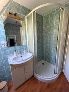a bathroom with a shower and a sink at Chalet 6 à 8 personnes in Drulhe +8 photos